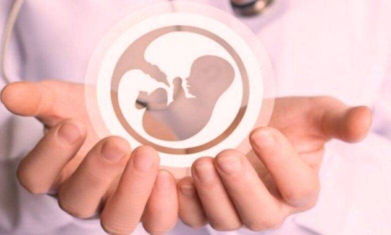 76922e77 0bf9 40f6 a587 af40a9d0dbe4